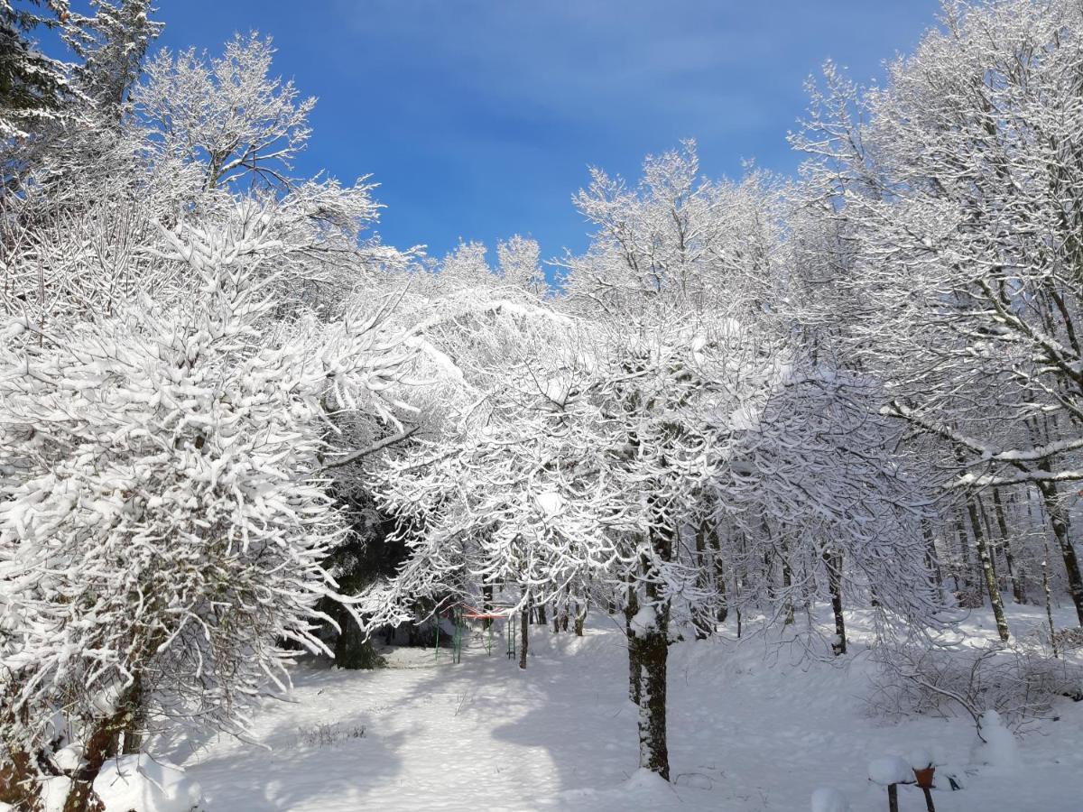 Les Sentiers Du Lac Hotel Tremouille  Стая снимка